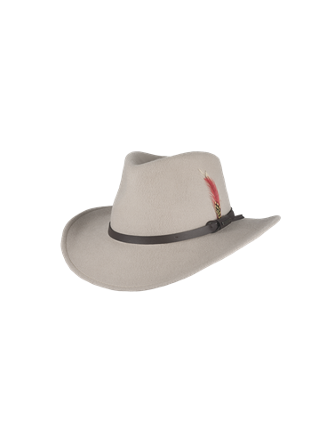 Dakota - Felt hat with feather