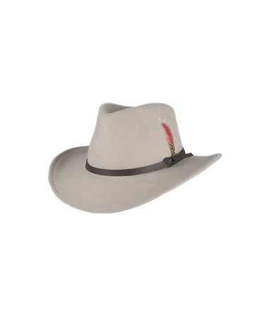 Dakota - Felt hat with feather