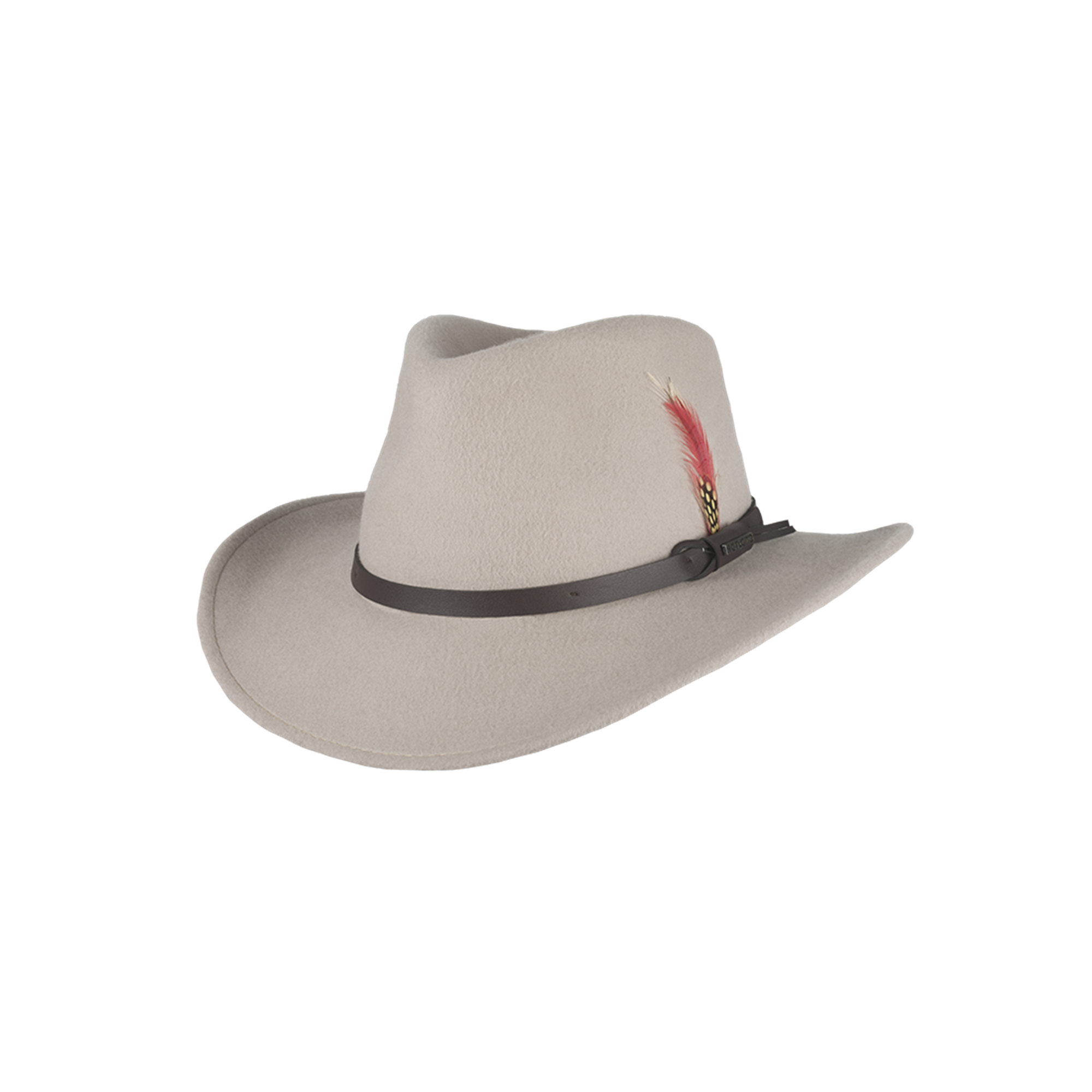 Dakota - Felt hat with feather