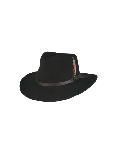 Dakota - Felt hat with feather