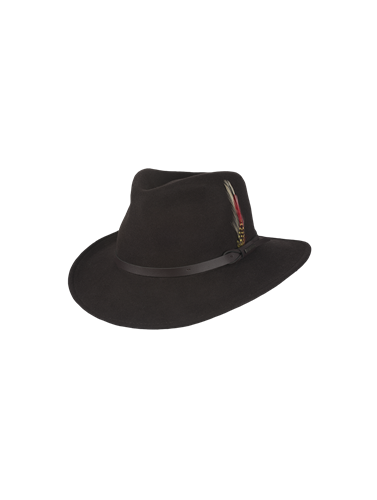 Dakota - Felt hat with feather